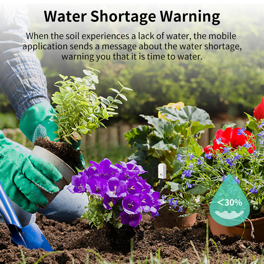 Smart ZigBee Soil Moisture Sen - đánh giá và giá Intervalometer Timer